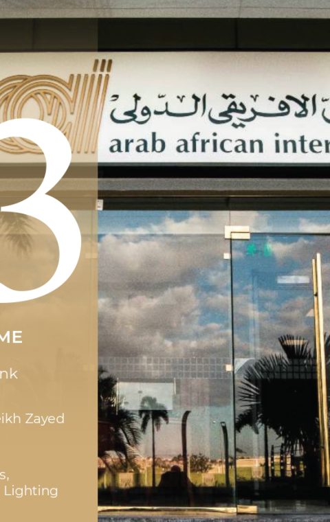 Arab African International Bank