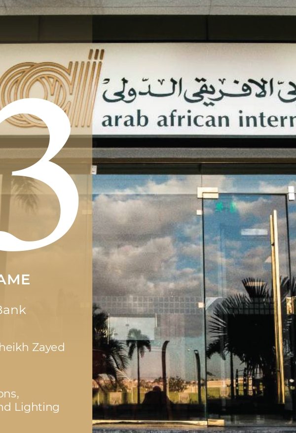 Arab African International Bank